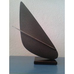 Trofeos Windsurf